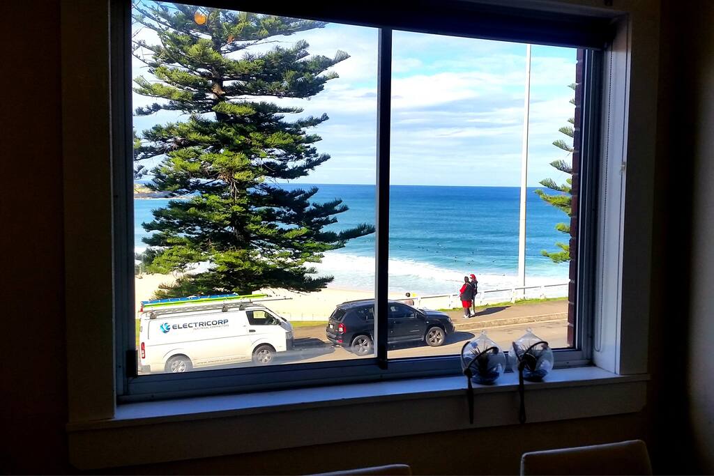 The best view of Bondi Beach