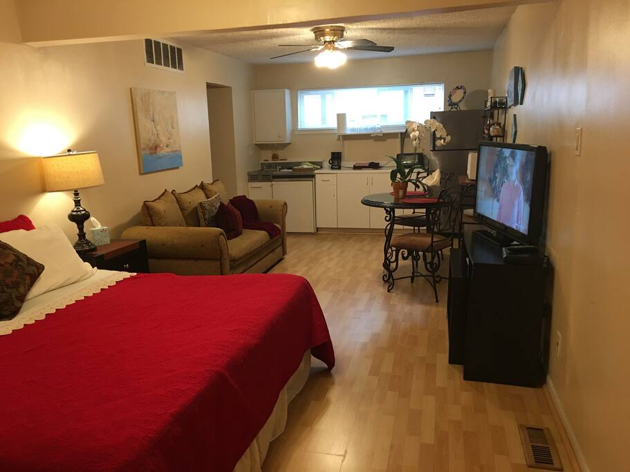 Large Comfortable Studio Apartment