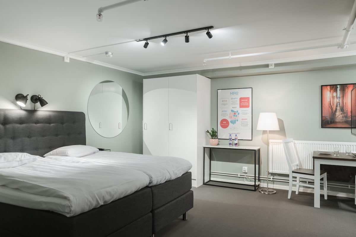 A spacious studio apartment is depicted, featuring a large bed with a simple grey headboard. A round mirror and a sleek white wardrobe adorn the walls. A small table with a chair and a lamp provide additional functionality, while a plant adds a touch of greenery.