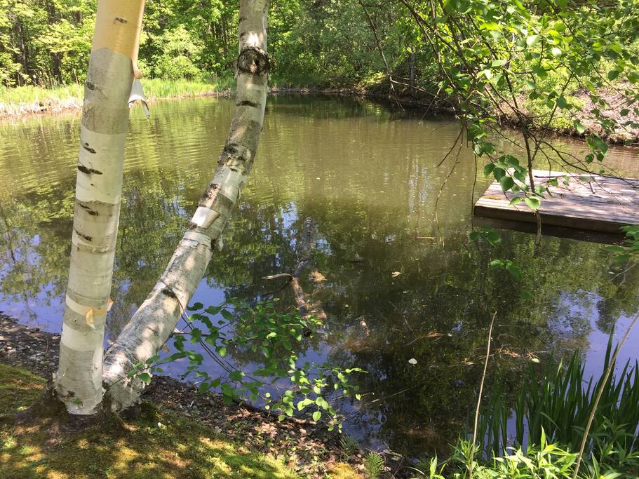 As you roll up the driveway, you may notice the pond, undisturbed, beckoning your children to explore (with adult supervision please :-) ).