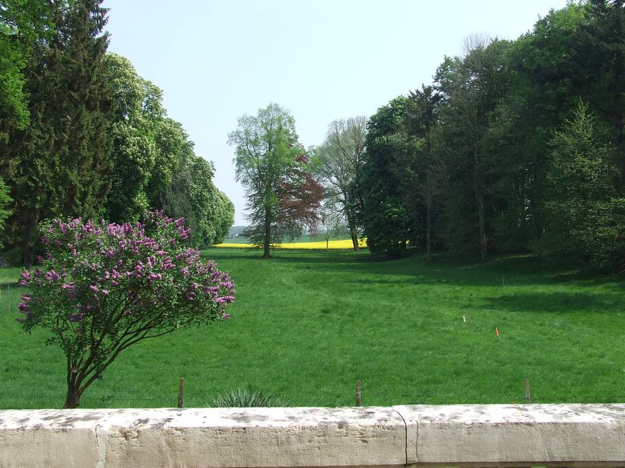 vue de la chambre