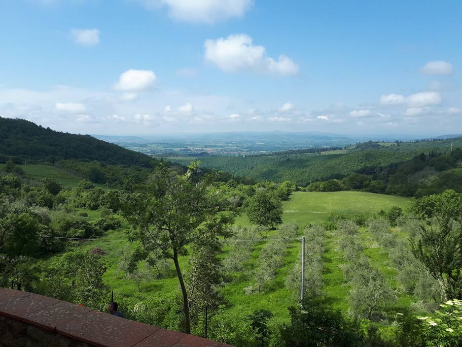 vista dall'alloggio