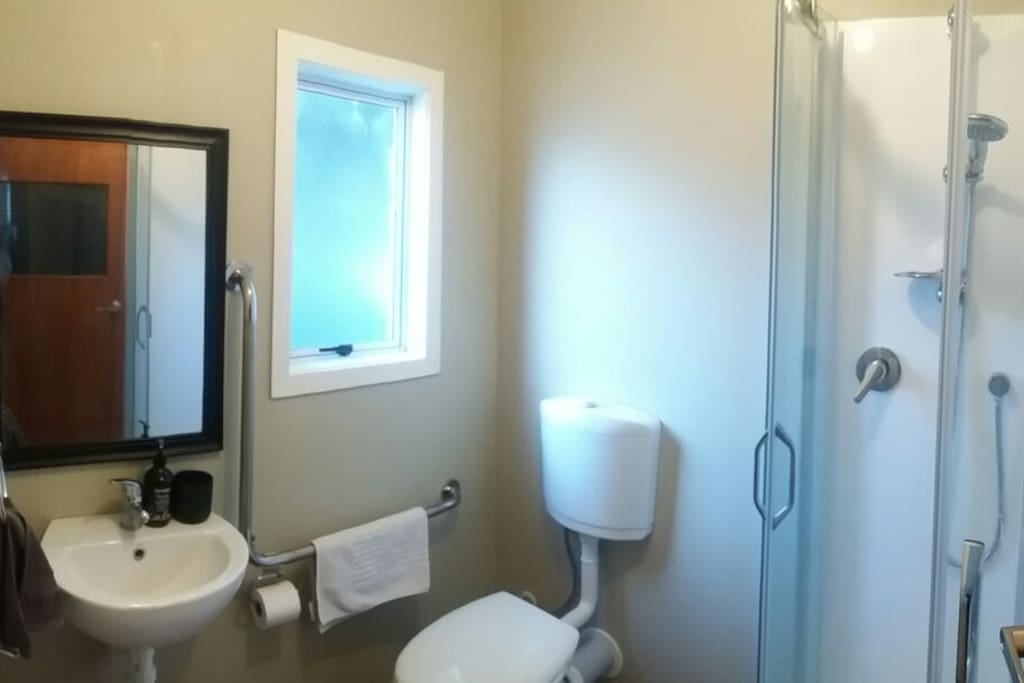 Bathroom. (compact but functional,). Toilet, shower, sink.
