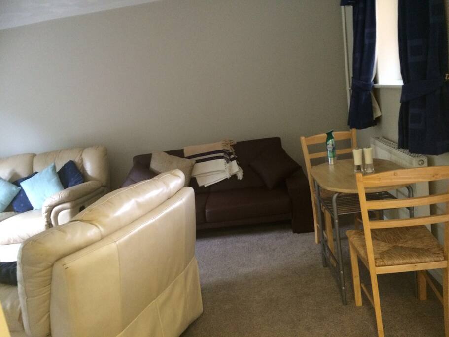 Living/Dining Room (and sofa bed)
