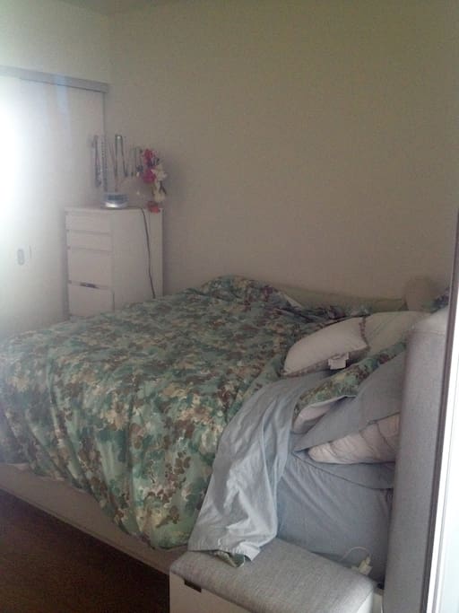 Queen Bed with new mattress and headboard