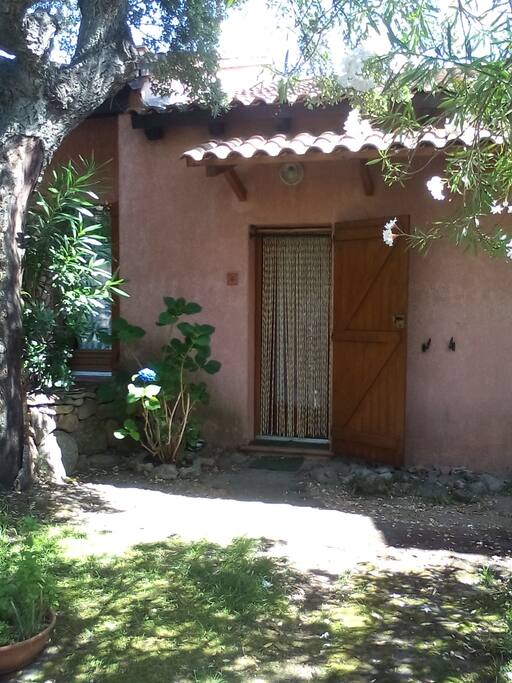 Ingresso