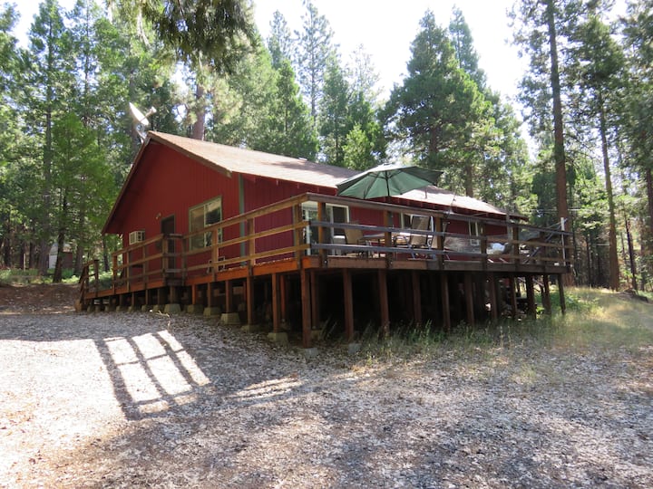 Cabin in the Forest Cabins for Rent in Twain Harte, California