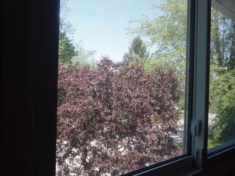 view outside the window