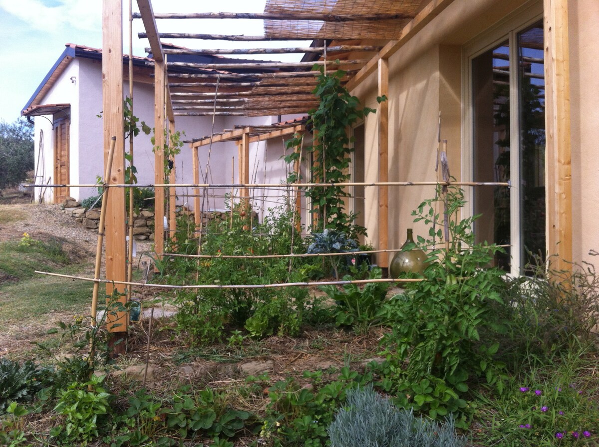 An outdoor garden area is visible, featuring a trellis structure supporting climbing plants. Various herbs and foliage grow in the surrounding garden beds, offering a glimpse of green and diverse textures. A light-colored building is partially seen in the background, providing context to the area.