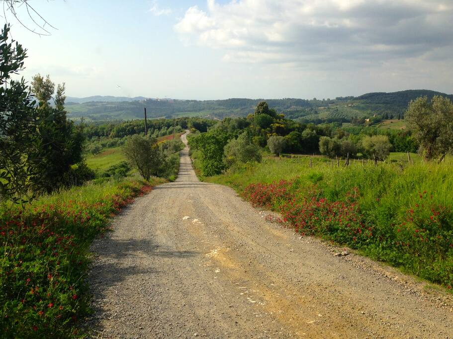 The unmade road to agriturismo Le Capanne