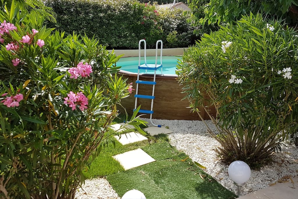 Jardin 1