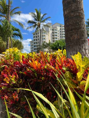 Hawaii 2 bedroom 2 bath villa with private beach gallery image 3