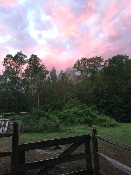 Gorgeous sunsets