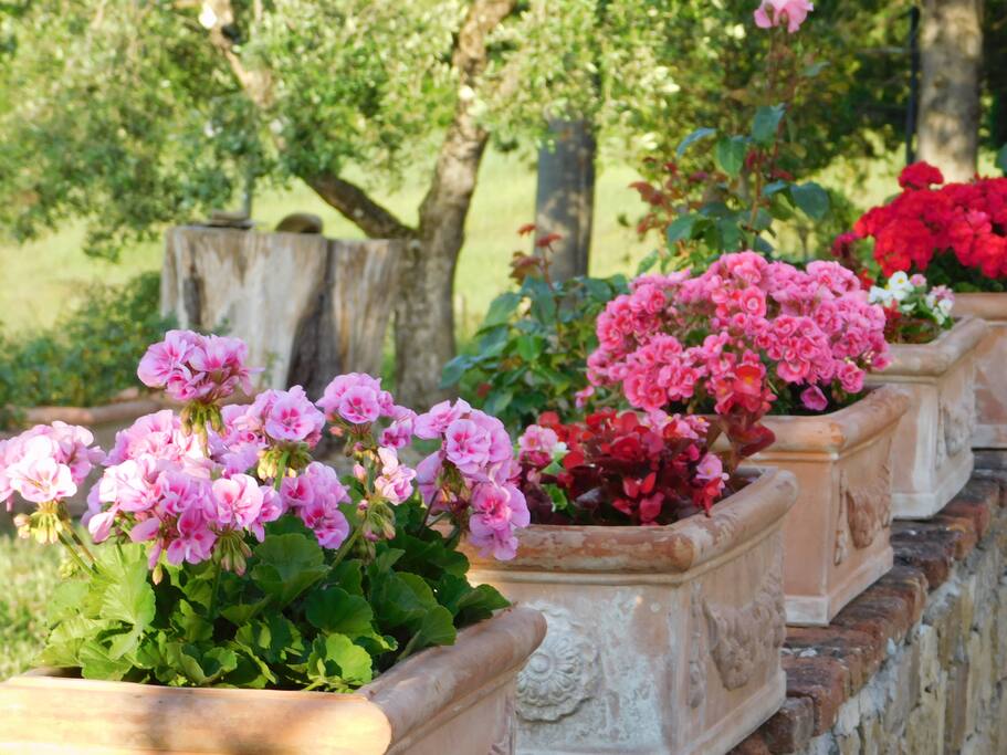 esterno: nel giardino