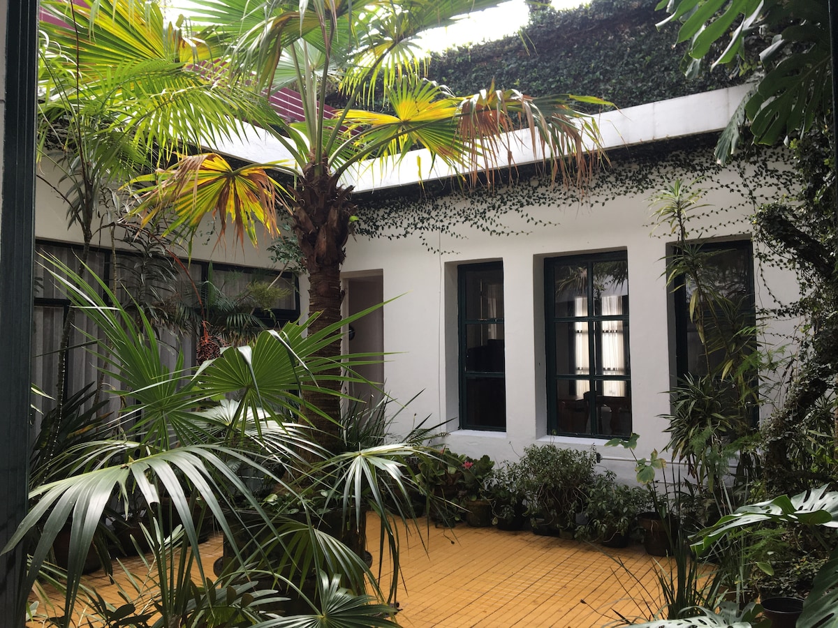 An interior courtyard is encircled by lush greenery, showcasing tall palms and various plant species. The wooden flooring complements the tranquil atmosphere, while sunlight filters through the vibrant foliage, creating a serene space for relaxation.