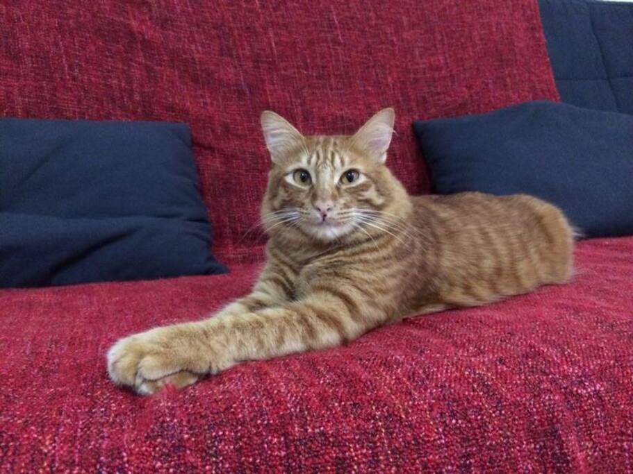 Her majesty