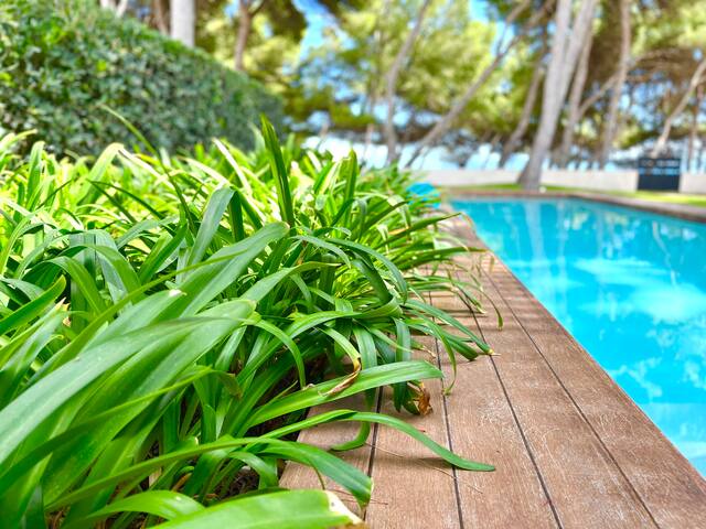 Apartment Ginesta 19B gallery image 4