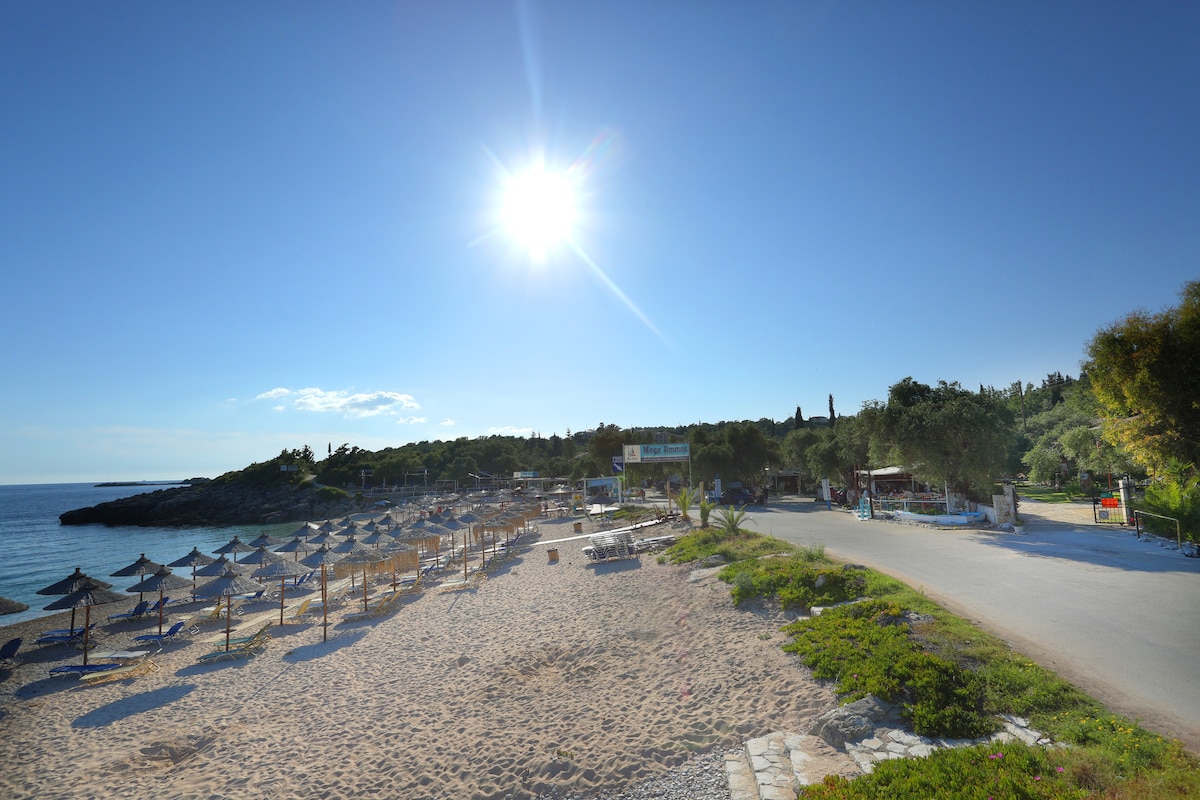 A sandy beach area is depicted with several sun loungers beneath large umbrellas positioned in neat rows. Clear skies and bright sunlight create a cheerful atmosphere. A coastal road is visible nearby, flanked by greenery and trees, enhancing the natural setting.