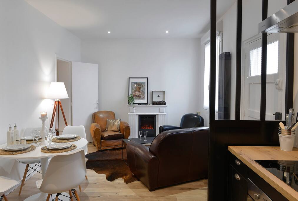 salon / salle a manger / cuisine americaine
