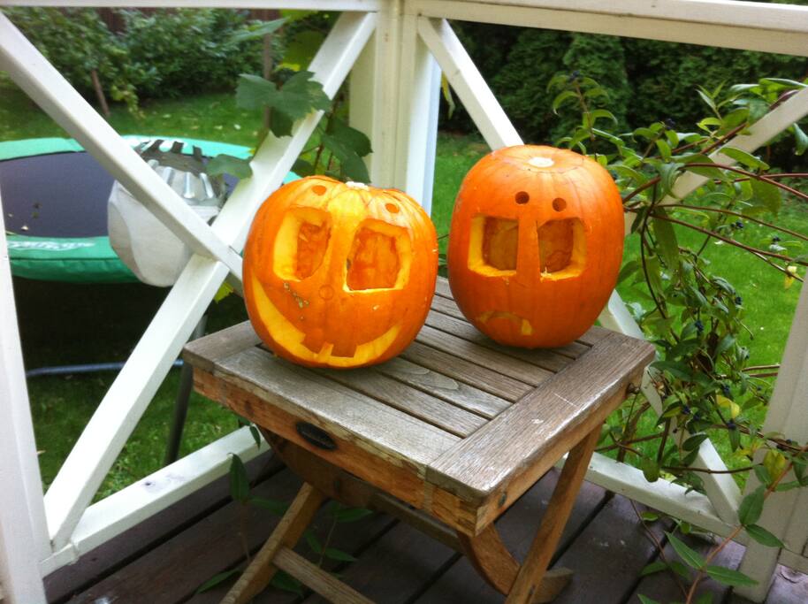 Fun in the garden