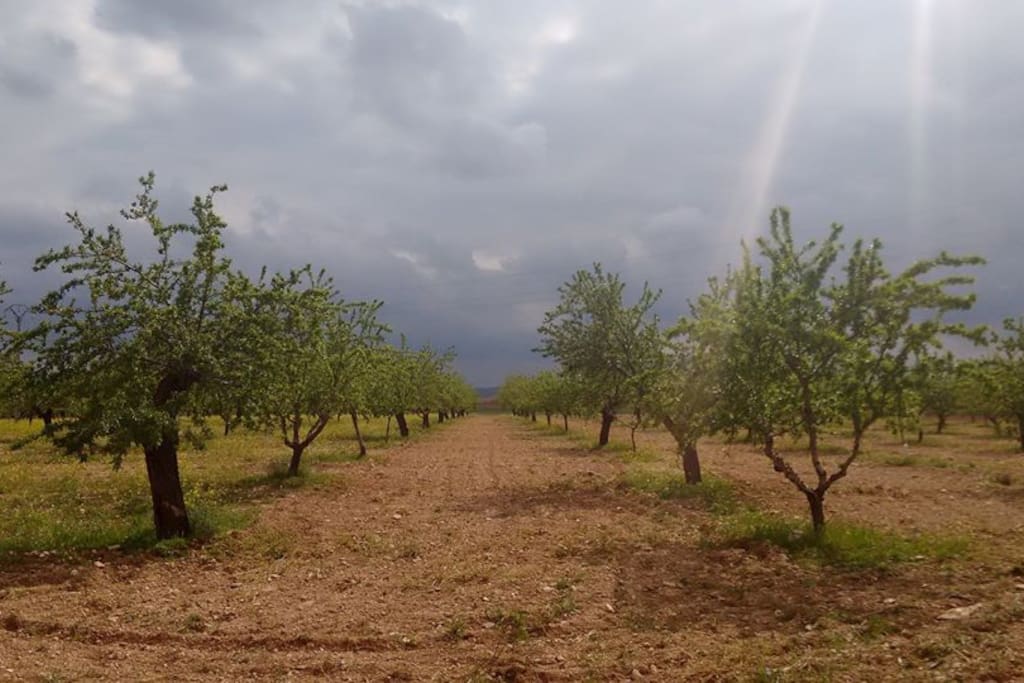 Alrededores de la Finca