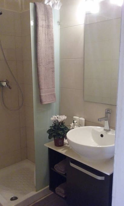 Shower/toilet en suite