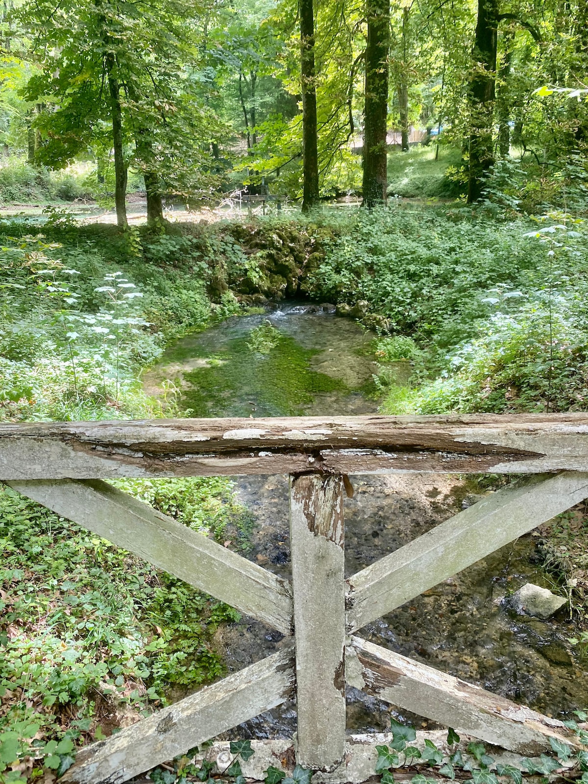 A wooden fence, showing signs of weathering, frames a serene scene of a gentle stream flowing through a lush green area. Tall trees provide dappled shade over the water, which reflects the surrounding foliage, enhancing the natural beauty of the park.