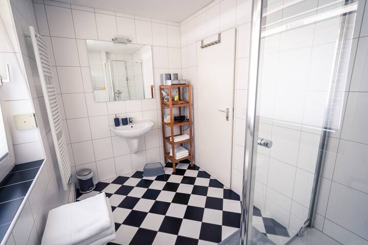 Helles und modernes Apartment im Zentrum - Wohnungen zur ...