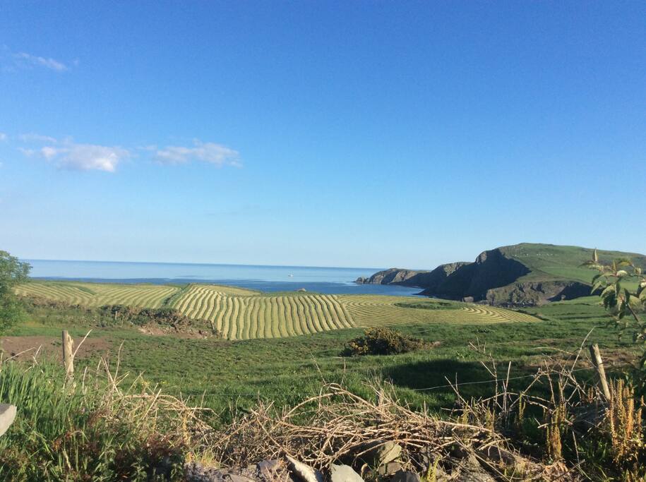 The view from a scenic walk.