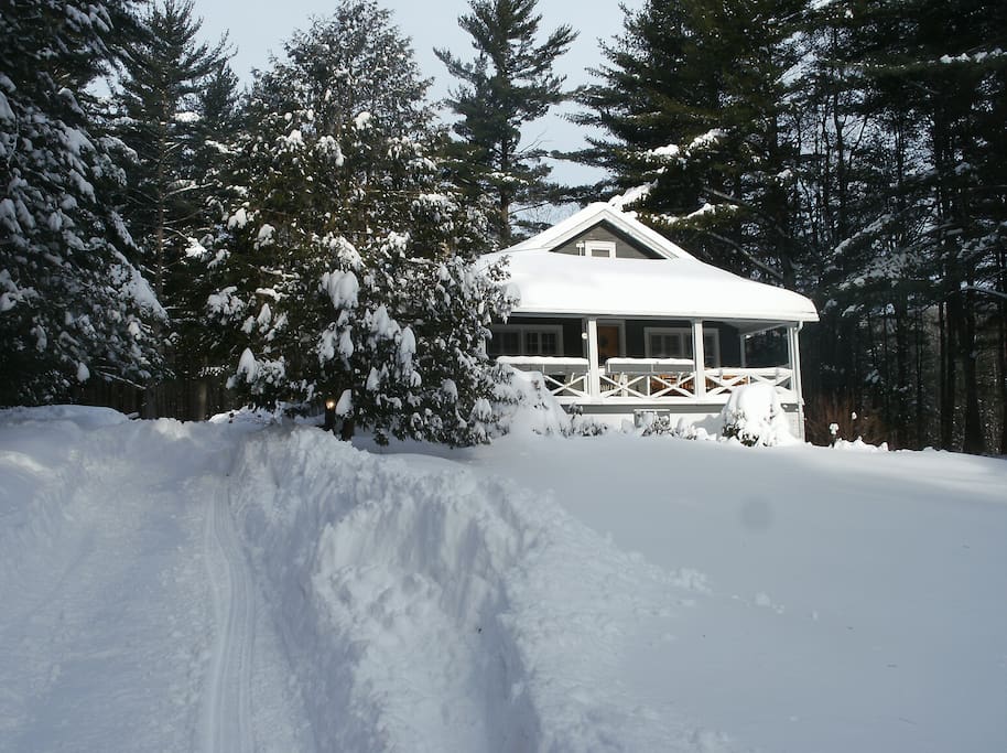 Winter Wonderland!