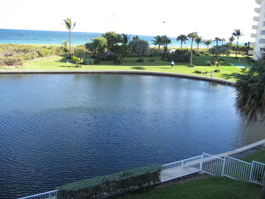 Lagoon