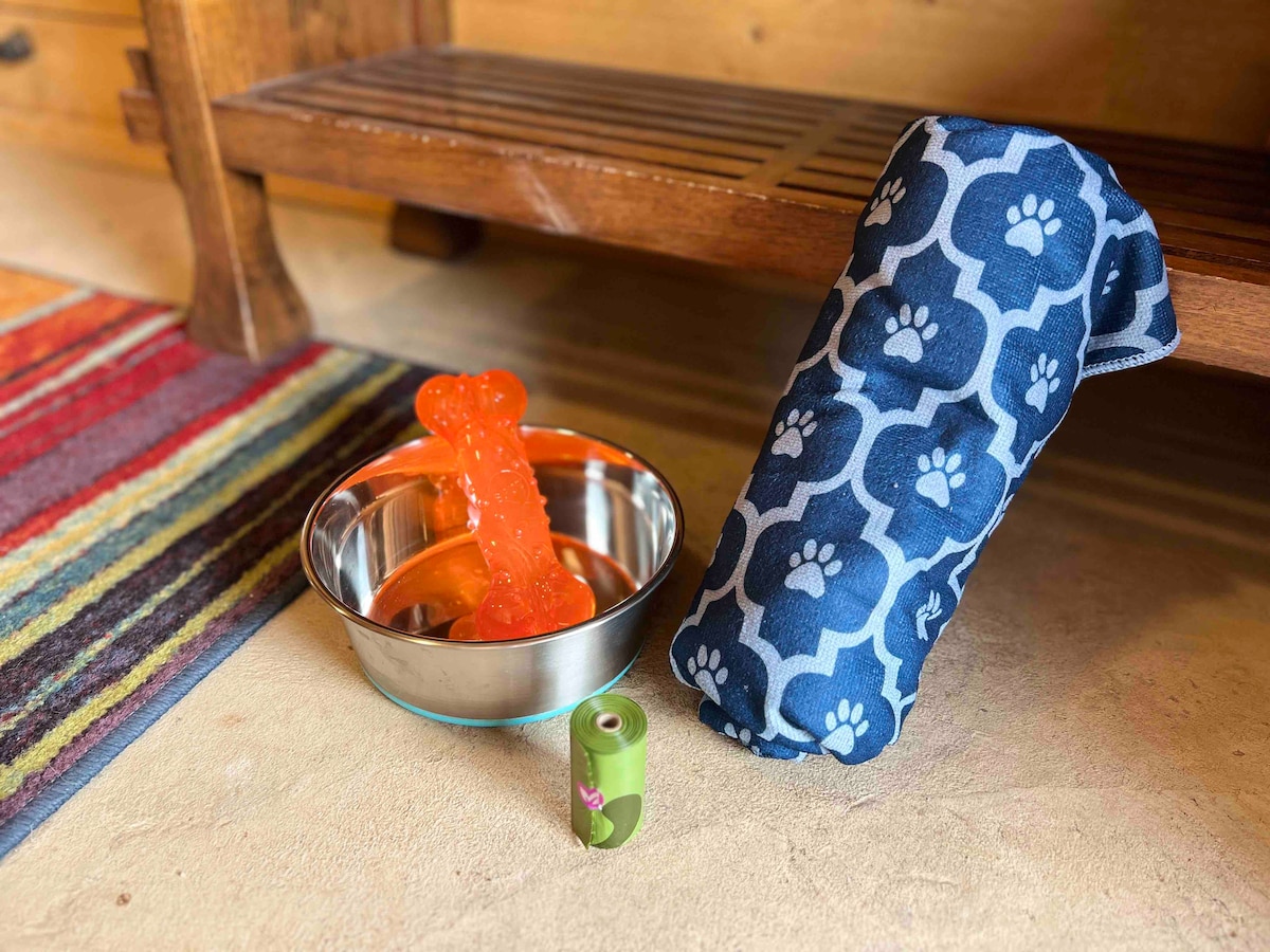 A pet-friendly setup features a stainless steel water bowl next to a colorful rubber bone toy. A rolled-up pet blanket in a blue and white pattern leans against a wooden bench, with a patterned rug adding warmth to the space.