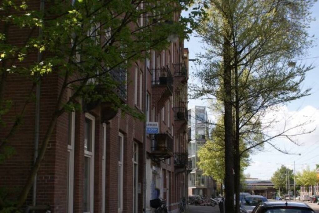 Our street