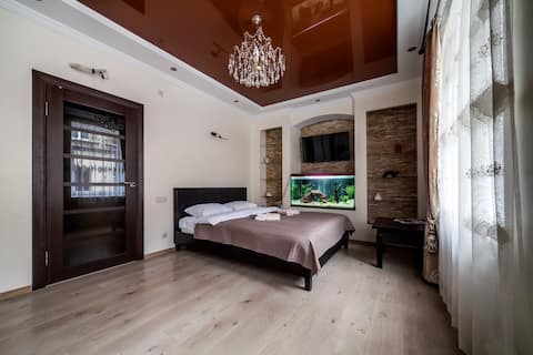 Cozy one-room apartment in the city center