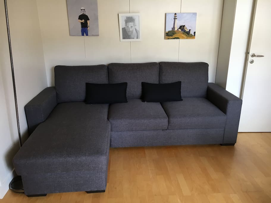 Sofa bed for Netflixing-and-chilling
