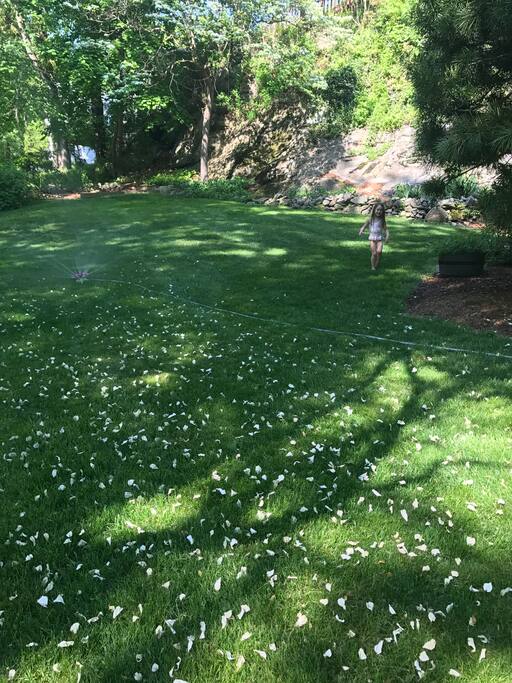 side yard
