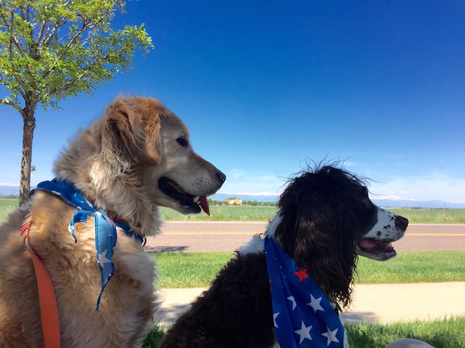 Toby and Sharik!
