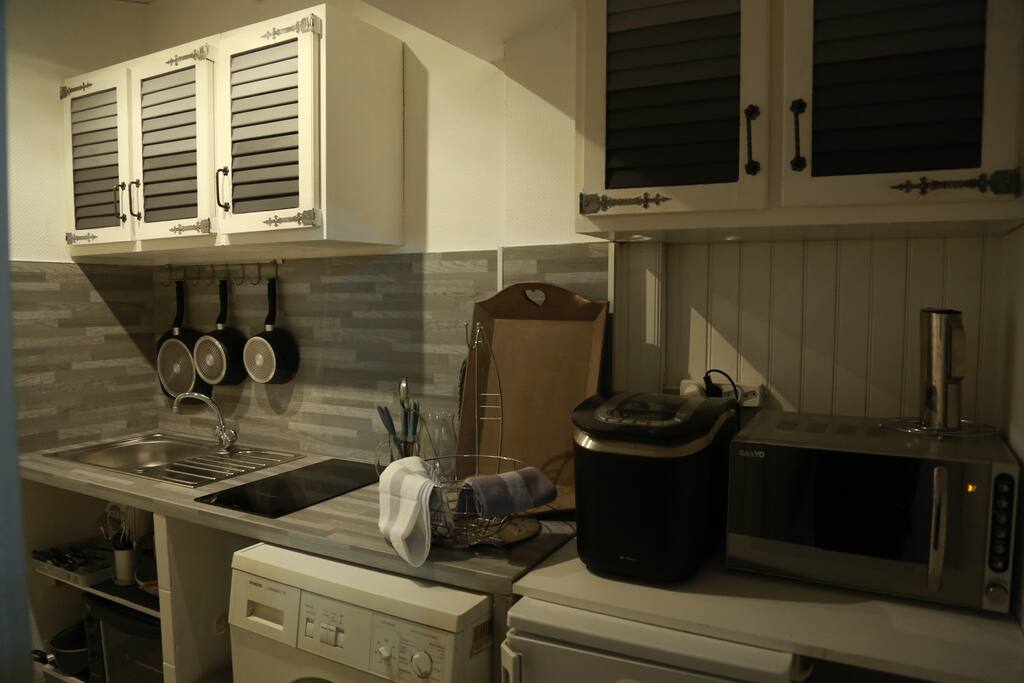 cuisine équipée avec plaques à induction, four électrique, four micro-ondes, réfrigérateur, lave linge...