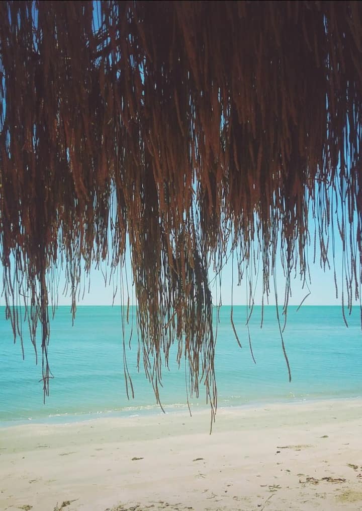 Toogoom Holiday Rentals & Homes Queensland, Australia Airbnb