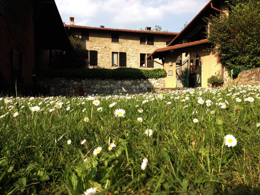 Giardino di ingresso