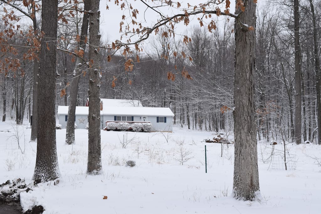 Winter Wonderland