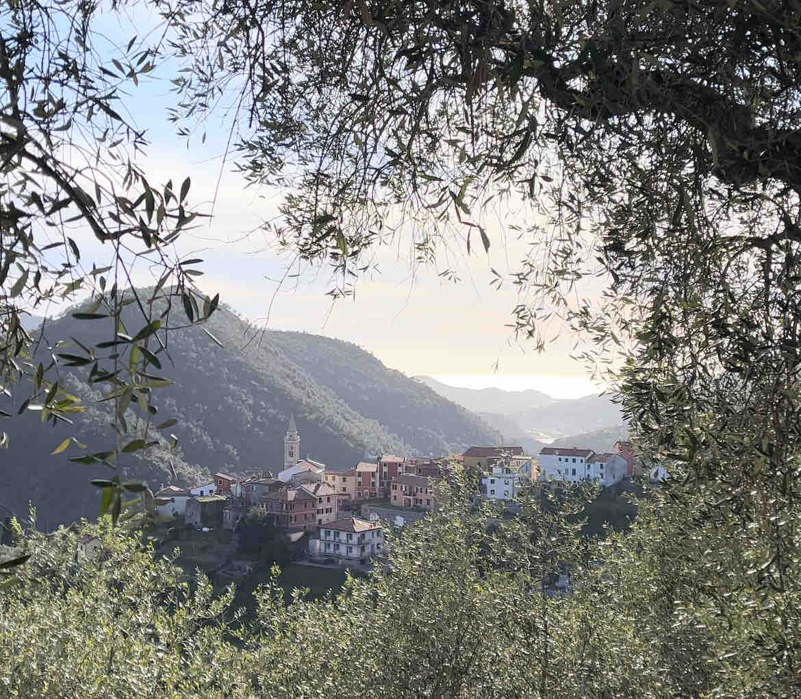 A scenic view captures a hillside village nestled among green mountains. The village features a mix of colorful buildings, with a tall tower visible among them. Olive trees frame the image, adding to the natural ambiance of the surrounding landscape.