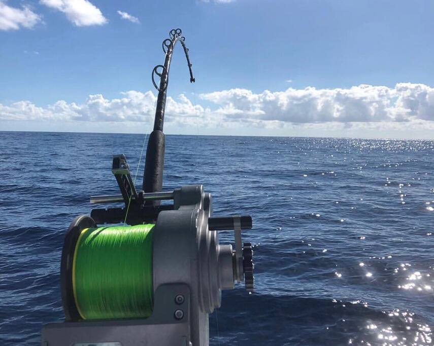 Catch your fresh dinner!!