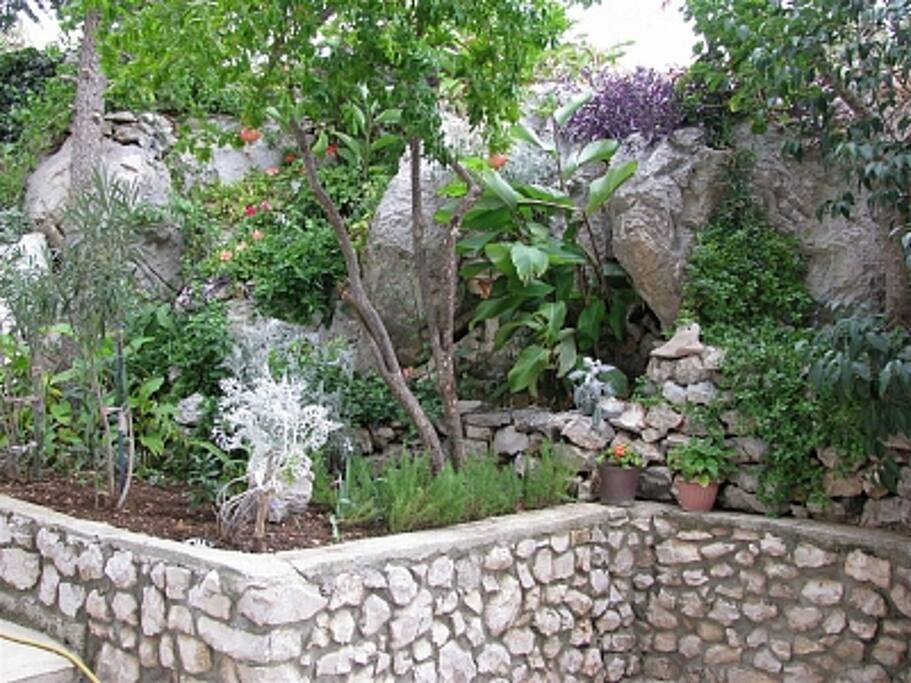 greenery (house and surroundings)