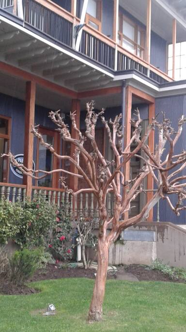 Condominio y entorno