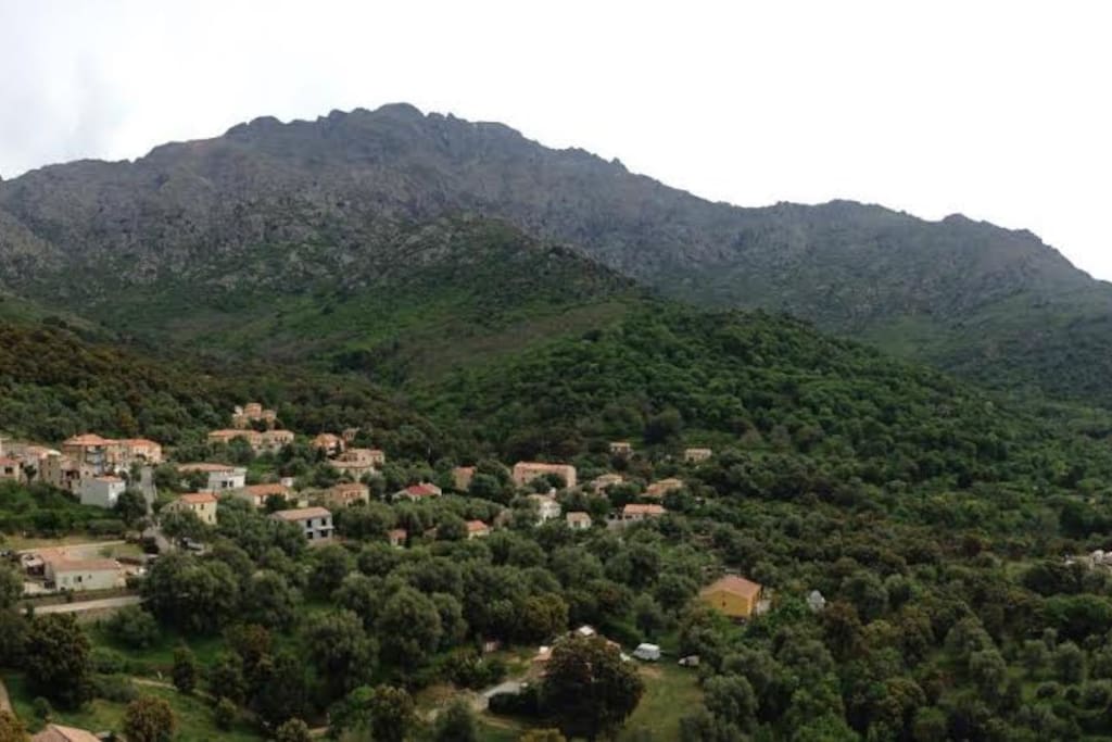 vue du balcon 1er étage