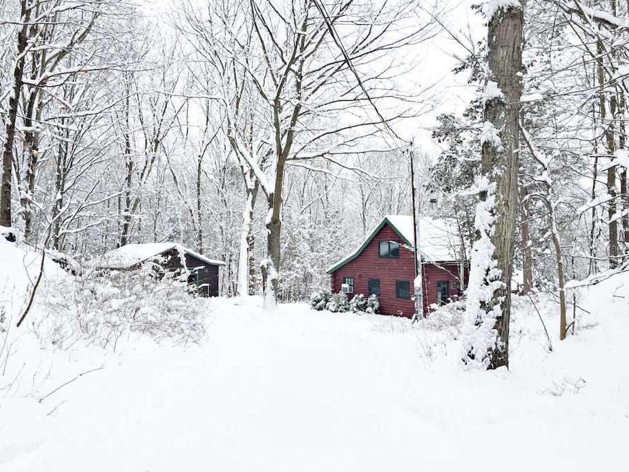 Approach to the cabin from the driveway