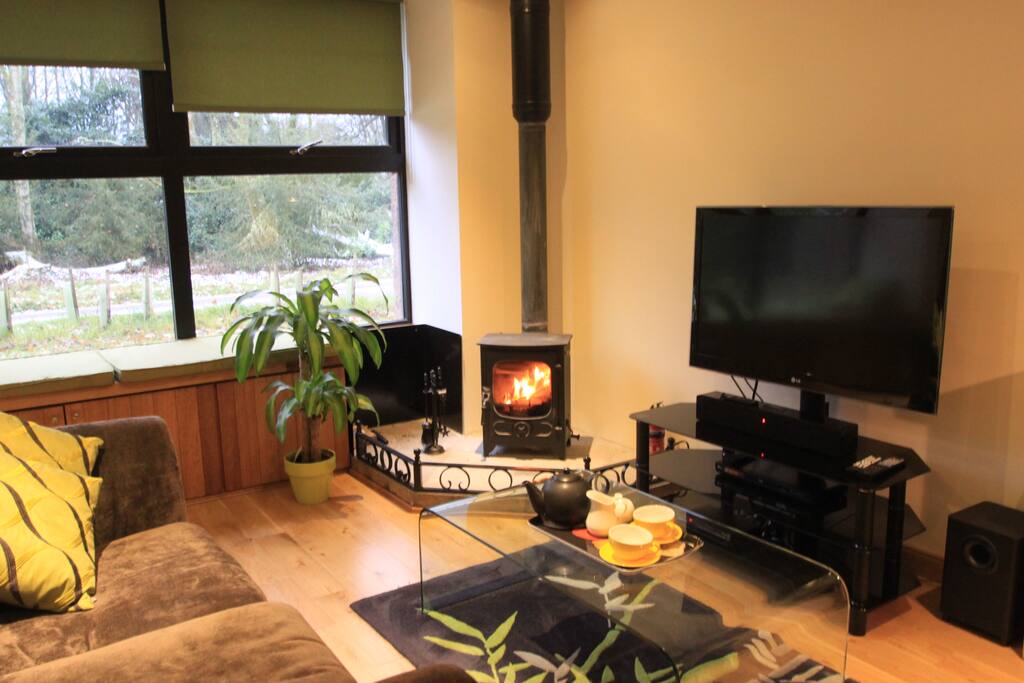 Comfy sitting area with woodburning stove, Sky TV and woodland views