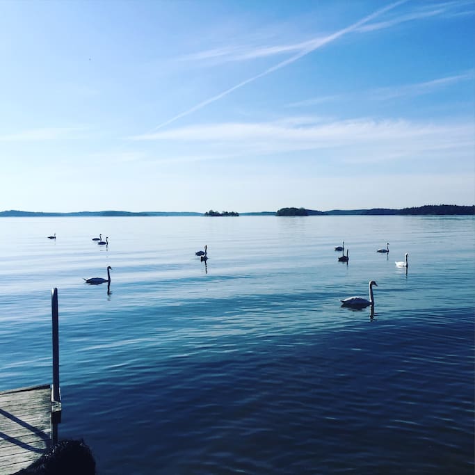 A still morning by the private waterfront.