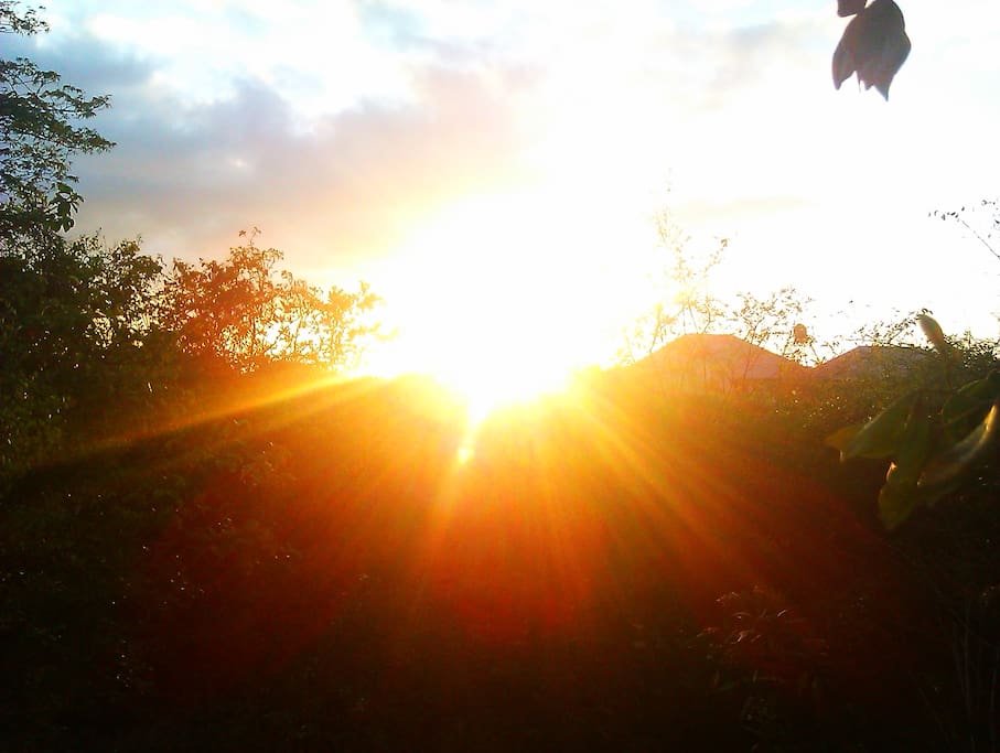 6 am best time of the day at the Botanic Country Resort House